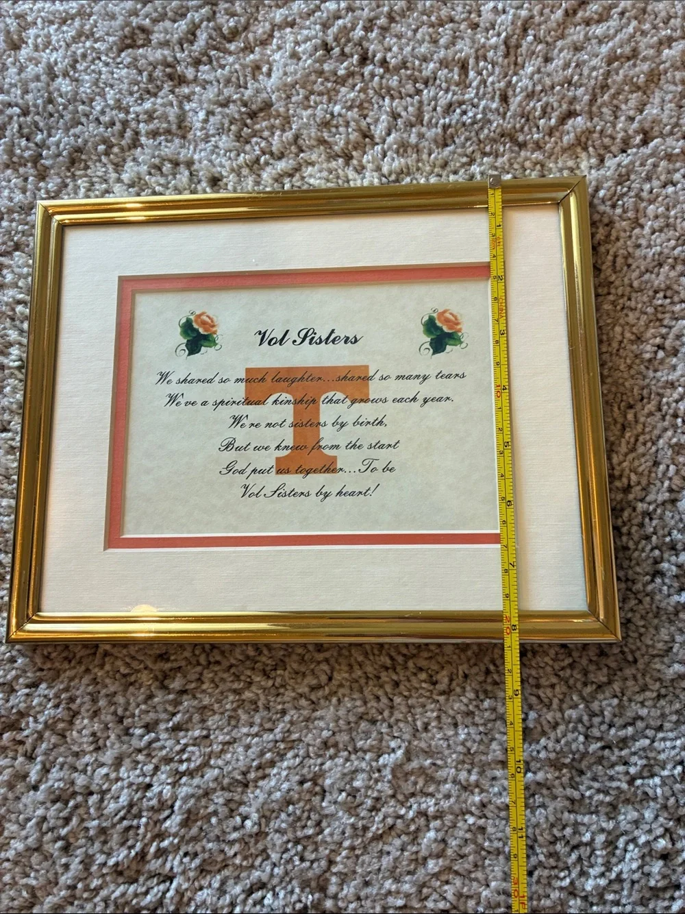 Gold Picture Frame with Coral Mat Accent
